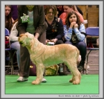 Filename=R_Abrielle_2.jpg
Filesize=178KiB
Dimensions=1000x954
Date added=Mar 23, 2021 R_Abrielle_2.jpg
