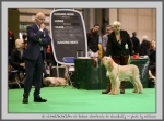 Filename=R_Cherriecola.jpg
Filesize=133KiB
Dimensions=1000x742
Date added=Mar 23, 2021 R_Cherriecola.jpg