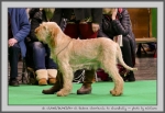 Filename=R_Cherriecola_1.jpg
Filesize=138KiB
Dimensions=1000x688
Date added=Mar 23, 2021 R_Cherriecola_1.jpg
