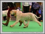 Filename=R_Cherriecola_3.jpg
Filesize=117KiB
Dimensions=1000x754
Date added=Mar 23, 2021 R_Cherriecola_3.jpg