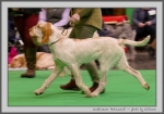 Filename=S_Perlescenti_1.jpg
Filesize=102KiB
Dimensions=1000x701
Date added=Mar 23, 2021 S_Perlescenti_1.jpg