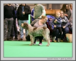 Filename=S_Vicenza.jpg
Filesize=133KiB
Dimensions=1000x800
Date added=Mar 23, 2021 S_Vicenza.jpg