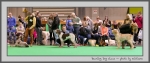 Filename=YD.jpg
Filesize=110KiB
Dimensions=1000x420
Date added=Mar 23, 2021 YD.jpg