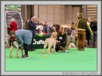 Filename=YD_3.jpg
Filesize=143KiB
Dimensions=1000x752
Date added=Mar 23, 2021 YD_3.jpg