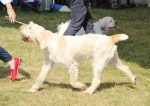 Filename=A-HappyEverAfter-1.jpg
Filesize=217KiB
Dimensions=800x566
Date added=Mar 23, 2021 A-HappyEverAfter-1.jpg