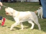 Filename=A-HappyEverAfter-2.jpg
Filesize=221KiB
Dimensions=800x589
Date added=Mar 23, 2021 A-HappyEverAfter-2.jpg