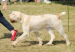 Filename=A-HappyEverAfter.jpg
Filesize=239KiB
Dimensions=800x557
Date added=Mar 23, 2021 A-HappyEverAfter.jpg