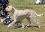 Filename=Aurelia-TheExplorer.jpg
Filesize=226KiB
Dimensions=800x561
Date added=Mar 23, 2021 Aurelia-TheExplorer.jpg