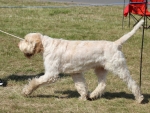 Filename=C-Eagle-1.jpg
Filesize=268KiB
Dimensions=800x607
Date added=Mar 23, 2021 C-Eagle-1.jpg