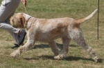Filename=G-Galli-1.jpg
Filesize=197KiB
Dimensions=800x528
Date added=Mar 23, 2021 G-Galli-1.jpg