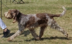 Filename=G-TiasMaria.jpg
Filesize=216KiB
Dimensions=800x488
Date added=Mar 23, 2021 G-TiasMaria.jpg