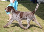Filename=I-Amadeo-1.jpg
Filesize=241KiB
Dimensions=800x590
Date added=Mar 23, 2021 I-Amadeo-1.jpg