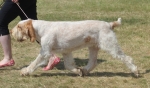 Filename=I-Fiorella-1.jpg
Filesize=194KiB
Dimensions=800x472
Date added=Mar 23, 2021 I-Fiorella-1.jpg
