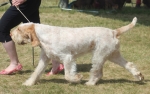 Filename=I-Fiorella.jpg
Filesize=192KiB
Dimensions=800x506
Date added=Mar 23, 2021 I-Fiorella.jpg