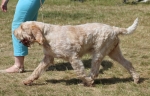 Filename=I-Ryea-1.jpg
Filesize=233KiB
Dimensions=800x517
Date added=Mar 23, 2021 I-Ryea-1.jpg