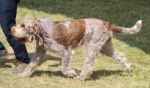 Filename=O-PeanutChunkyKitKat.jpg
Filesize=216KiB
Dimensions=800x473
Date added=Mar 23, 2021 O-PeanutChunkyKitKat.jpg