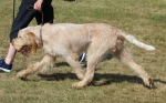 Filename=P-Enigma-1.jpg
Filesize=226KiB
Dimensions=800x499
Date added=Mar 23, 2021 P-Enigma-1.jpg