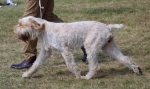 Filename=Prottino-DelVera.jpg
Filesize=215KiB
Dimensions=800x475
Date added=Mar 23, 2021 Prottino-DelVera.jpg