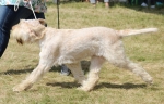 R-Biella-1.jpg