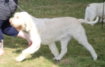 Filename=R-Rafael-1.jpg
Filesize=199KiB
Dimensions=800x516
Date added=Mar 23, 2021 R-Rafael-1.jpg