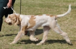 T-LuthienTinuviel.jpg