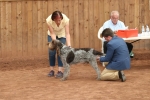 Filename=L-Catequil.jpg
Filesize=87KiB
Dimensions=960x640
Date added=Mar 23, 2021 L-Catequil.jpg