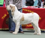 Filename=M-GoodAsGold.jpg
Filesize=225KiB
Dimensions=800x673
Date added=Mar 23, 2021 M-GoodAsGold.jpg