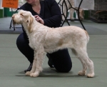 Prottino-DelSavonaPescaByDewdhala.jpg