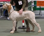 S-Perlescenti.jpg