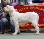 Filename=T-Grazioso.jpg
Filesize=235KiB
Dimensions=800x708
Date added=Mar 23, 2021 T-Grazioso.jpg
