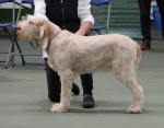 Filename=A-Adrianna.jpg
Filesize=179KiB
Dimensions=800x628
Date added=Mar 23, 2021 A-Adrianna.jpg