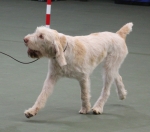 Filename=A-HappyEverAfter-2.jpg
Filesize=170KiB
Dimensions=800x709
Date added=Mar 23, 2021 A-HappyEverAfter-2.jpg