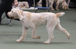 Filename=A-HappyEverAfter-4.jpg
Filesize=140KiB
Dimensions=800x524
Date added=Mar 23, 2021 A-HappyEverAfter-4.jpg