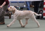 Filename=Aurelia-TheExplorer-2.jpg
Filesize=171KiB
Dimensions=800x559
Date added=Mar 23, 2021 Aurelia-TheExplorer-2.jpg