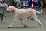 Filename=Aurelia-TheExplorer-3.jpg
Filesize=160KiB
Dimensions=800x550
Date added=Mar 23, 2021 Aurelia-TheExplorer-3.jpg