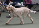 Filename=Aurelia-TheExplorer-4.jpg
Filesize=156KiB
Dimensions=800x589
Date added=Mar 23, 2021 Aurelia-TheExplorer-4.jpg