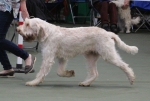 Filename=B-MostlyMerengueDelacruse.jpg
Filesize=155KiB
Dimensions=800x541
Date added=Mar 23, 2021 B-MostlyMerengueDelacruse.jpg