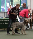Filename=Harri_Stanley-1.jpg
Filesize=302KiB
Dimensions=800x932
Date added=Mar 23, 2021 Harri_Stanley-1.jpg