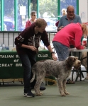 Filename=Harri_Stanley-10.jpg
Filesize=308KiB
Dimensions=800x964
Date added=Mar 23, 2021 Harri_Stanley-10.jpg