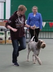 Filename=Harri_Stanley-3.jpg
Filesize=291KiB
Dimensions=800x1076
Date added=Mar 23, 2021 Harri_Stanley-3.jpg