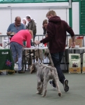 Filename=Harri_Stanley-4.jpg
Filesize=268KiB
Dimensions=800x977
Date added=Mar 23, 2021 Harri_Stanley-4.jpg