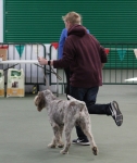 Filename=Harri_Stanley-5.jpg
Filesize=253KiB
Dimensions=800x950
Date added=Mar 23, 2021 Harri_Stanley-5.jpg
