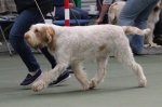 Filename=I-Fiorella.jpg
Filesize=158KiB
Dimensions=800x533
Date added=Mar 23, 2021 I-Fiorella.jpg