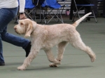Inca-Volata-7.jpg