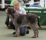 Filename=L-Morello-7.jpg
Filesize=217KiB
Dimensions=800x699
Date added=Mar 23, 2021 L-Morello-7.jpg