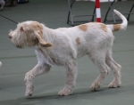 Filename=L-Polydeuces-4.jpg
Filesize=163KiB
Dimensions=800x634
Date added=Mar 23, 2021 L-Polydeuces-4.jpg