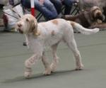 Filename=L-Polydeuces-6.jpg
Filesize=170KiB
Dimensions=800x665
Date added=Mar 23, 2021 L-Polydeuces-6.jpg
