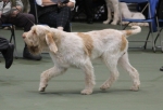 Filename=M-HarrysRock-2.jpg
Filesize=150KiB
Dimensions=800x546
Date added=Mar 23, 2021 M-HarrysRock-2.jpg