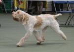 Filename=M-HarrysRock-3.jpg
Filesize=151KiB
Dimensions=800x564
Date added=Mar 23, 2021 M-HarrysRock-3.jpg