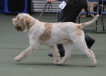 Filename=M-HarrysRock-4.jpg
Filesize=161KiB
Dimensions=800x571
Date added=Mar 23, 2021 M-HarrysRock-4.jpg